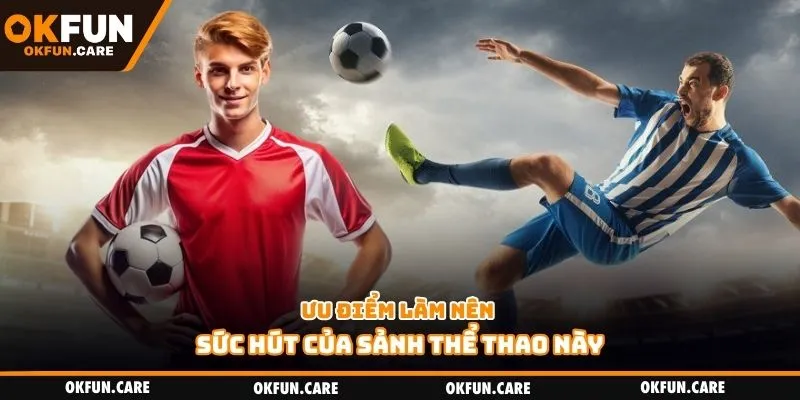 Ưu điểm làm nên sức hút của sảnh thể thao này