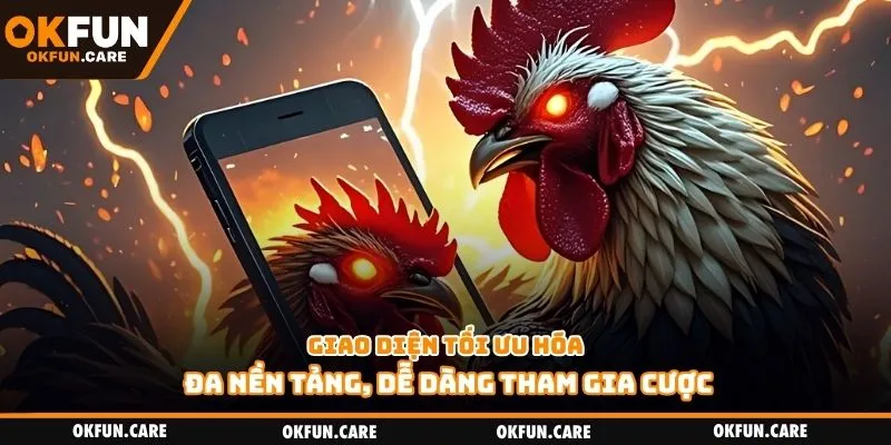 Giao diện tối ưu hóa đa nền tảng, dễ dàng tham gia cược