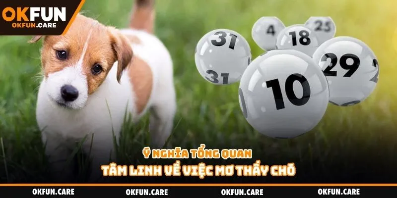 Ý nghĩa tổng quan tâm linh về việc mơ thấy chó