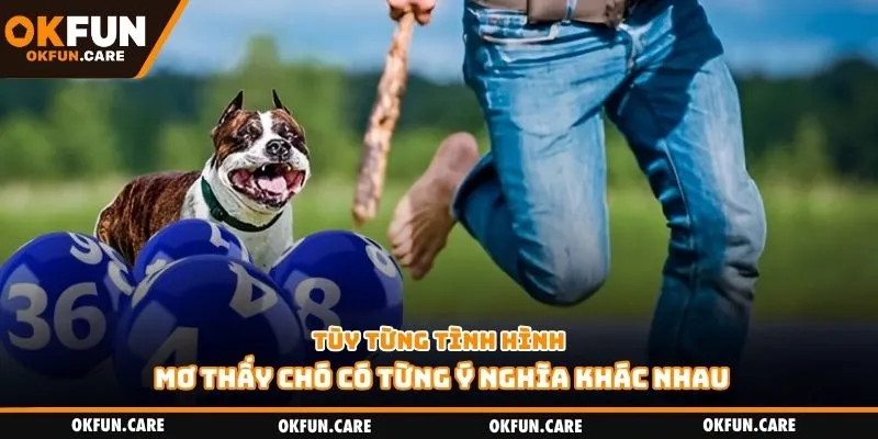 Tùy từng tình hình, mơ thấy chó có từng ý nghĩa khác nhau