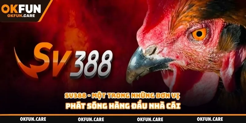 SV388 - Một trong những đơn vị phát sóng hàng đầu nhà cái
