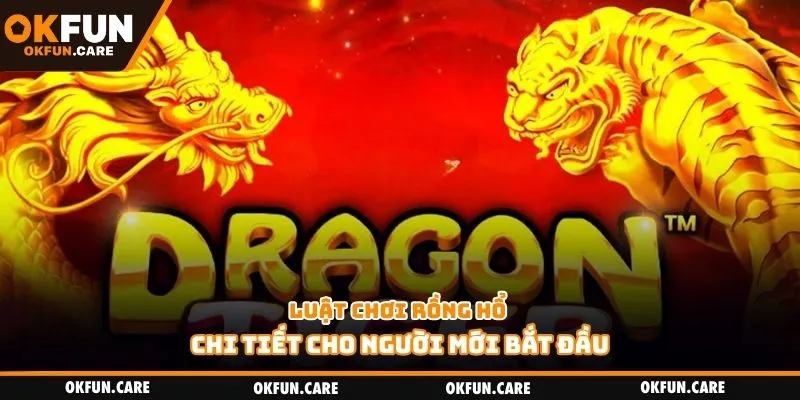Luật chơi rồng hổ chi tiết cho người mới bắt đầu