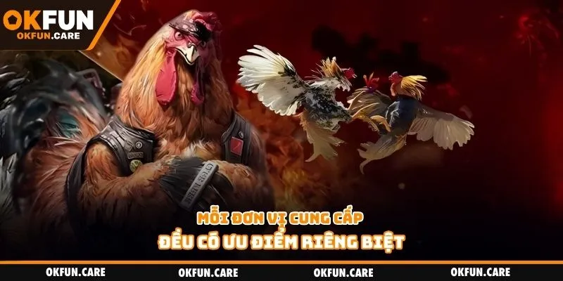 Mỗi đơn vị cung cấp đều có ưu điểm riêng biệt