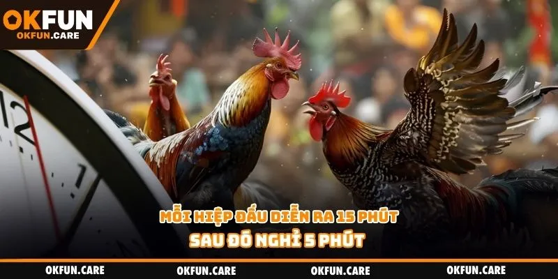 Mỗi hiệp đấu diễn ra 15 phút, sau đó nghỉ 5 phút
