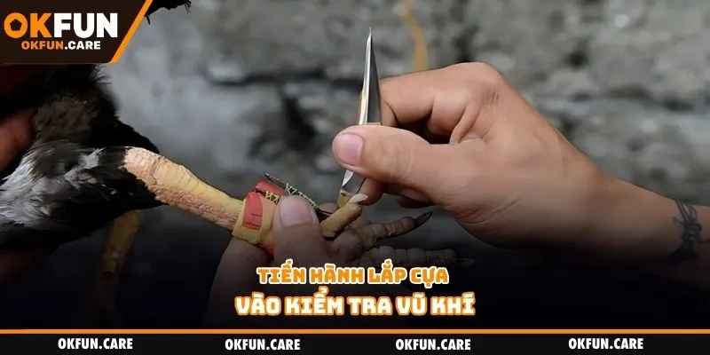 Tiến hành lắp cựa vào kiểm tra vũ khí
