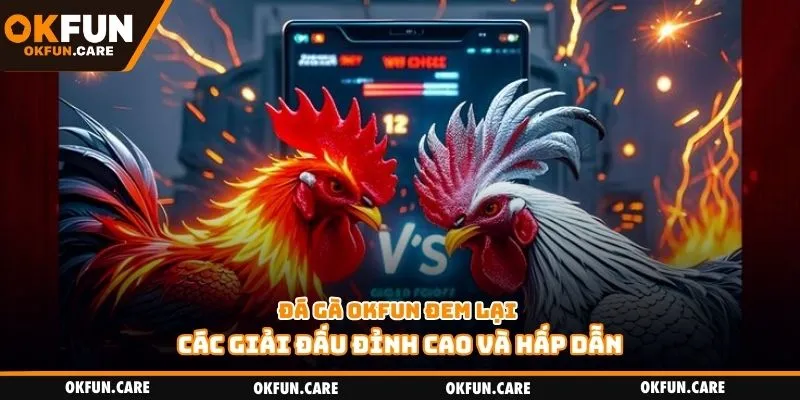 Đá gà Okfun đem lại các giải đấu đỉnh cao và hấp dẫn